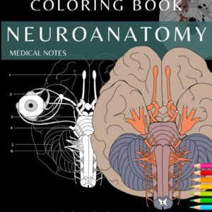 Neuroanatomy: Human Anatomy Coloring Book | Medical Notes: | Neuroanatomy Coloring Study Workbook for Medical & Nursing Students