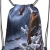 Drawstring Backpack Bag Eagle Bald Stand Snow Branch School String Yoga Gym Bag - Image 4