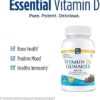 Nordic Naturals Vitamin D3 Gummies, Wild Berry - 120 Gummies - 1000 IU Vitamin D3 - Great Taste - Healthy Bones, Mood & Immune System Function - Non-GMO - 120 Servings - Image 3