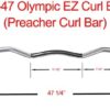Olympic Preacher Curl Bar - Image 9