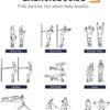 Resistance Bands for Working Out,Lwhaoye Resistance Band Set with Handles,Multi-Weight Optional Exercise Bands,Workout Bands for Training at Home,Gym Office Outdoor Training Bands for Working Out - Image 6