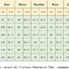 Renaissance Gothic Tailcoat Halloween Costumes for Women, Medieval Irregular Hem Steampunk Corset Victorian Tailcoat Jacket - Image 7