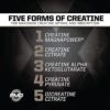 PMD CR5 Creatine - Image 6