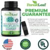 ForestLeaf Vitamin B2 Riboflavin, 400mg - Promotes Healthier Blood, Nervous System, Energy and Metabolism – Non-GMO, Gluten Free Daily Dietary Supplement Unflavored 90 Count (Pack of 1) - Image 2