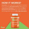 Turmeric Gummies, Qunol Gummy with 500mg Turmeric Curcumin, Joint Support Supplement, Ultra High Absorption Tumeric Curcumin, Vegan, Gluten Free, 2 Month Supply (60 Count, Pack of 2) - Image 3