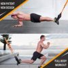 Moulyan Bodyweight Resistance Training Straps Complete Home Gym Fitness Trainer kit for Full-Body Workout Easy Setup Gym Home Outdoors - Image 3