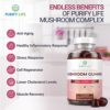 World's First Mushroom Complex Gummies - 10x Mushroom Supplement w Lions Mane (90 Chews 2500mg/serving) Nootropic Brain Supplement, Immune Support, Mood & Stress Relief - Replace Pills & Capsules - Image 7