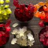 Black Forest Organic Gummy Bears, 65 Pk. Net Wt , 52 Oz(Pack of 1) - Image 4