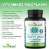 ForestLeaf Vitamin B2 Riboflavin, 400mg - Promotes Healthier Blood, Nervous System, Energy and Metabolism – Non-GMO, Gluten Free Daily Dietary Supplement Unflavored 90 Count (Pack of 1) - Image 4