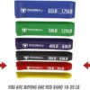 Pull Up Assist Band, Premium Stretch Resistance Bands - Mobility Bands - Powerlifting Bands - Extra Durable and Heavy Duty Pull-Up Bands - Works with Any Pullup Station - Image 2