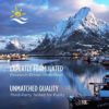 Nordic Naturals Vitamin D3 Gummies, Wild Berry - 120 Gummies - 1000 IU Vitamin D3 - Great Taste - Healthy Bones, Mood & Immune System Function - Non-GMO - 120 Servings - Image 5