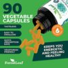 ForestLeaf Vitamin B2 Riboflavin, 400mg - Promotes Healthier Blood, Nervous System, Energy and Metabolism – Non-GMO, Gluten Free Daily Dietary Supplement Unflavored 90 Count (Pack of 1) - Image 5