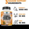 Vitamin C 2000mg with Zinc 40mg Per Serving and Rose Hips Extract, Immune Support for Adults, Immune Booster, Vegan Non GMO, No Filler, No Stearate, 120 Vegan Capsules, 60 Day Supply - Image 3