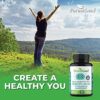 ForestLeaf Vitamin B2 Riboflavin, 400mg - Promotes Healthier Blood, Nervous System, Energy and Metabolism – Non-GMO, Gluten Free Daily Dietary Supplement Unflavored 90 Count (Pack of 1) - Image 7