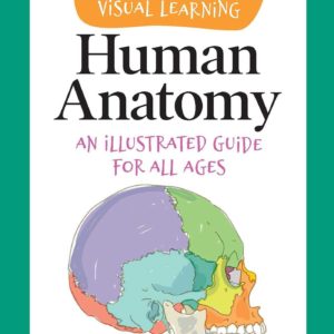 Visual Learning: Human Anatomy: An illustrated guide for all ages (Barron's Visual Learning)