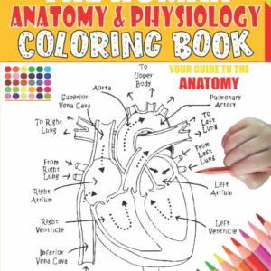 The Human Anatomy and Physiology Coloring Book: 50+ illustrations in an Activity coloring book for kids and teens, Great christmas, thanksgiving, ... yourself, structure & function smart Anatomy