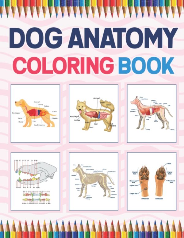 Dog Anatomy Coloring Book: Dog Anatomy Coloring Workbook for Kids, Boys, Girls & Adults. The New Surprising Magnificent Learning Structure For ... and even Adults. Vet Tech Coloring Books.