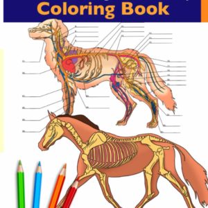 Horse + Dog Anatomy Coloring Book: 2-in-1 Compilation | Incredibly Detailed Self-Test Equine & Canine Anatomy Color workbook | Perfect Gift for Veterinary Students, Animal Lovers & Adults