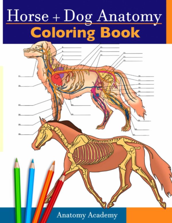 Horse + Dog Anatomy Coloring Book: 2-in-1 Compilation | Incredibly Detailed Self-Test Equine & Canine Anatomy Color workbook | Perfect Gift for Veterinary Students, Animal Lovers & Adults