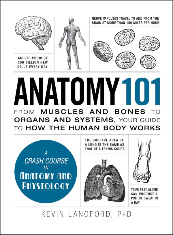 Anatomy 101: From Muscles and Bones to Organs and Systems, Your Guide to How the Human Body Works (Adams 101)