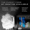 | MuscleTech Cell-Tech Creactor | Creatine HCl Formula | Muscle Builder for Men & Women | Creatine HCl + Free-Acid Creatine | Creatine Supplements | Fruit Punch Extreme, 120 Servings - Image 4