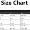 La Sportiva Descender Storm Jacket - Women's - Image 5
