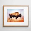 Bison Print, Wild Animal Prints, Buffalo Watercolor, Bison Poster, Wild Animal Art, Watercolor Buffalo, Bison Landscape Painting, UNFRAMED 8x10inch - Image 4