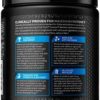 | MuscleTech Cell-Tech Creactor | Creatine HCl Formula | Muscle Builder for Men & Women | Creatine HCl + Free-Acid Creatine | Creatine Supplements | Fruit Punch Extreme, 120 Servings - Image 6