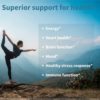 Super B-Complex – Methylated Sustained Release B Complex & Vitamin C, Folate & Methylcobalamin, Vegan, Energy, Heart & Brain Function, 180 Small Tablets - Image 5