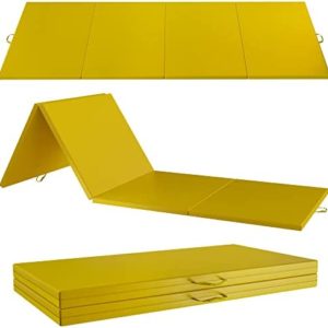 Elevens Gymnastics Mat for Tumbling 10'x4'x2", Thick Folding Exercise Mat for Home,GYM Mats for Home Workout, Tumbling Mats for Kids,Gymnastics Mat for Wrestling, Jujitsu