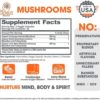 Genius Mushroom - Lions Mane, Cordyceps and Reishi - Immune System Booster & Nootropic Brain Supplement - for Natural Energy, Memory & Liver Support, 90 Veggie Pills - Image 2