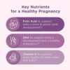 Centrum Prenatal Multivitamin Gummies with DHA and Folic Acid, Mixed Berry and Orange Flavors - 60 Count, 30 Day Supply - Image 3