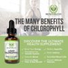 Chlorophyll Liquid Drops – Energy Boost | Immune System Support | Internal Deodorant | Altitude Sickness. Premium Quality – 100% Natural, Potent, Minty Taste, 2X Absorption. - Image 5