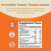 Potent Daily Multivitamin Gummies for Adults - Wellness Blend of Vitamin D A C E B12 Zinc and Biotin - Adult Vitamin Gummy for Energy and Immunity - Non-GMO Gluten Free and Halal Gummies 90 Count - Image 3