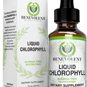 Chlorophyll Liquid Drops – Energy Boost | Immune System Support | Internal Deodorant | Altitude Sickness. Premium Quality – 100% Natural, Potent, Minty Taste, 2X Absorption.