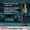 SPRI Flat Bands 3-Pack - Resistance Band Kit Set with 3 Levels of Resistance - Exercise Bands for Strength Training, Flexibility, & Body Workout - Versatile Fitness Tool - Light, Medium, and Heavy - Image 2