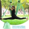 Gonex Aerial Yoga Swing Set, Trapeze Hammock Sling, Antigravity Inversion Ceiling Hanging Include Daisy Chain, Carabiner, Post Guide for Beginners Relax Relieve Back Pain - Image 6