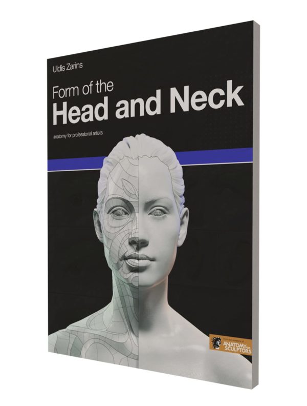 Form of the Head and Neck