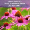 Garden of Life mykind Organics Elderberry Gummies for Adults & Kids - Immune Support Supplement with Organic Fruit, Herbal Blend, Elderberry, Echinacea, Zinc, Vitamin C, 120 Vegan Gluten Free Gummies - Image 2