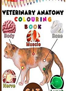 Veterinary Anatomy Colouring Book: Cat Anatomy & Veterinary Physiology Workbook | For Vet Nurses And Students | 8.5" x 11" | 70 Pages