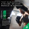 BCAA Amino Acids + Electrolyte Powder | MuscleTech Amino Build | 7g of BCAAs + Electrolytes | Support Muscle Recovery, Build Lean Muscle & Boost Endurance | Strawberry Watermelon (40 Servings) - Image 3