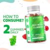 Vitamatic Irish Sea Moss Gummies - 3000 mg - 60 Vegan Gummies - Made with Bladderwrack & Burdock Root - Seamoss Supplement for Thyroid, Energy, Immune Support (60 Gummies (Pack of 1)) - Image 4