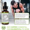 Chlorophyll Liquid Drops – Energy Boost | Immune System Support | Internal Deodorant | Altitude Sickness. Premium Quality – 100% Natural, Potent, Minty Taste, 2X Absorption. - Image 6