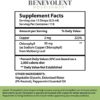 Chlorophyll Liquid Drops – Energy Boost | Immune System Support | Internal Deodorant | Altitude Sickness. Premium Quality – 100% Natural, Potent, Minty Taste, 2X Absorption. - Image 2
