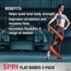 SPRI Flat Bands 3-Pack - Resistance Band Kit Set with 3 Levels of Resistance - Exercise Bands for Strength Training, Flexibility, & Body Workout - Versatile Fitness Tool - Light, Medium, and Heavy - Image 3