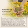 Joy-Filled Mood Support Supplement with St Johns Wort | Helps Calm The Mind & Body, Stress Relief Energy Supplements | 100% Plant-Based | Ashwagandha, Rhodiola, Eleuthero | Herbal Adaptogens, 60 ct - Image 6