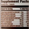 Amazon Elements B Complex, High Potency, 83% Whole Food Cultured, Supports Immune and Normal Energy Metabolism, Vegan, 65 Capsules, 2 month supply (Packaging may vary) - Image 8