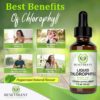 Chlorophyll Liquid Drops – Energy Boost | Immune System Support | Internal Deodorant | Altitude Sickness. Premium Quality – 100% Natural, Potent, Minty Taste, 2X Absorption. - Image 3