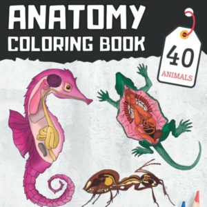 Veterinary Anatomy Coloring Book: Animal Anatomy and Physiology, Vet Tech Gift, Vet Students, Adults, Kids & Animal Lovers, Anatomical Curiosities