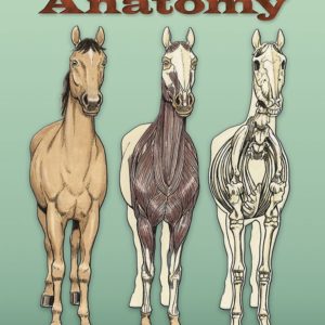 Horse Anatomy Coloring Book (Dover Science For Kids Coloring Books)